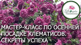 ПОДРОБНАЯ ИНСТРУКЦИЯ ПО ОСЕННЕЙ ПОСАДКИ КЛЕМАТИСА