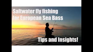 Fly fishing for European Sea Bass - Tips and Insights!