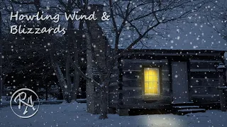 Howling Wind and Blizzards Storm Sounds | Relaxing Blowing Snow | Winter Ambience