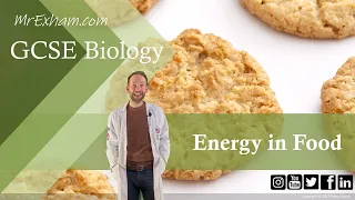 Measuring Energy in Food - GCSE Biology (9-1) 1.14B