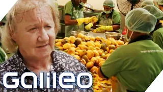 70 Mio.€/Jahr - Der Bio-Obst Millionär | Galileo | ProSieben