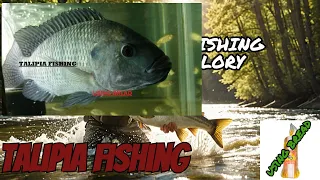 Catching HUGE Fish with BREAD only! Unbelievable River Fishing Adventure