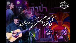 มนัสวีร์ LIVE in เจ้าป่า F❂LK  C▲MP ครั้งที่ 1【 Full Live Show 】