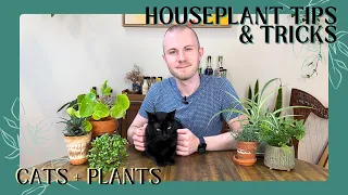 Cats + Plants – How Do I Have A Cat & Hundreds Of Plants? | Houseplant Tips & Tricks Ep. 32