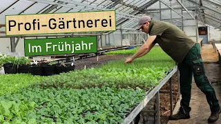 Gartenarbeit April 👨‍🌾 Gemüsebeete richtig anlegen👍Pflanzen im Freiland 🌱 Jungpflanzen vorziehen 💚