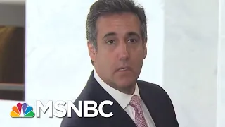 Michael Avenatti: Michael Cohen About To Be “In A World Of Hurt” | The Beat With Ari Melber | MSNBC