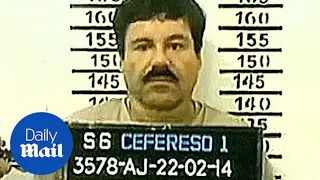 Drug kingpin El Chapo sentenced to life in prison plus 30 years