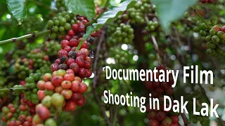 Coffee Vietnam, shooting in Dak Lak, Vietnam. Dop/camera crew, drone Peter Scheid Ho Chi Minh City