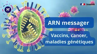 ARN messager :  vaccins, cancer, maladies génétiques -  L' émission 30' santé #5