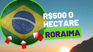 Roraima com áreas de R$500 o hectare!