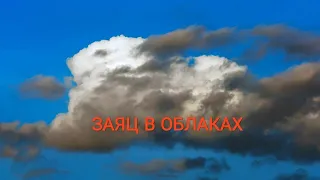 Заяц в облаках -  ДИАЛОГ