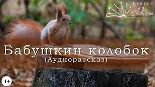 Бабушкин колобок | Верейская Елена | Аудиокниги для детей | Осенние рассказы про белок