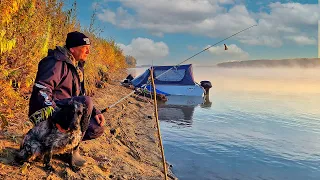 РЫБАЛКА С НОЧЁВКОЙ в лодке. Рвём ЛОПАТ на закидушки. Бешеный клёв на донки!