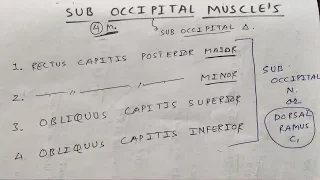 Sub occipital muscle and these nerve supply