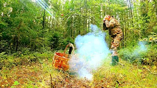 ГРИБНИК В ШОКЕ! НАШЁЛ В ЛЕСУ ДОРОГУ И ОБАЛДЕЛ, МУРАШКИ ПО КОЖЕ, ТАКОГО НЕ ОЖИДАЛ! ЯГОДА И ГРИБЫ 2022