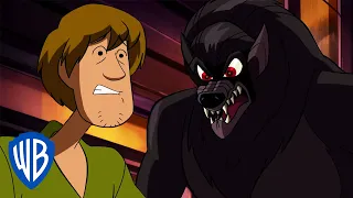 Scooby-Doo! en Latino | Cuando te Digo que Corras... 😱 | WB Kids