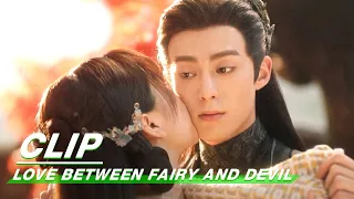 Dongfang Dreamed Of Being Married To Orchid For 500 Years | Love Between Fairy and Devil EP31 | 苍兰诀