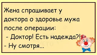 🔥Прохожий Говорит Вовочке...Большой Сборник Весёлых Анекдотов,Для Супер Настроения!