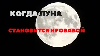 Над суровым Челябинском Луна не покраснела во время затмения