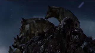 Wolf Totem - Requiem for a Dream(WARNING: Contains violence and death)