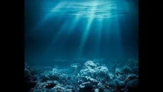 Документальный фильм / Самое глубокое место в мире Тайны морских глубин С точки зрения науки