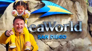 SEA WORLD SAN DIEGO: 11 Things to Know Before You Go