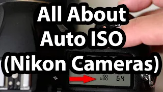 All About Auto ISO (Nikon Cameras)