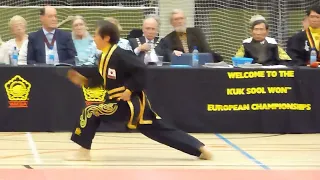 Kuk Sool Won: Masters Demonstration 2015