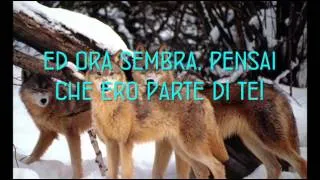 David Guetta ft Sia - She Wolf Traduzione in Italiano 2012 HQ