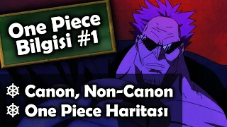ONE PIECE HARİTASI NASIL? FİLMDEKİLER ASLINDA YOK MU? | One Piece Bilgisi #1