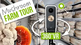 See INSIDE our Mushroom Farm! | 360 VR Tour | GroCycle