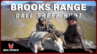 Last Chance: Dad & Son's Triumph in Brooks Range Dall Sheep Hunt | Bow Spider's Alaska Saga