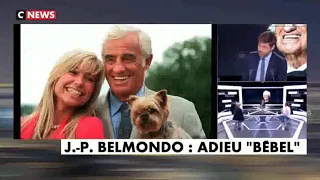 Bruno Ricard CNEWS hommage à Jean-Paul Belmondo