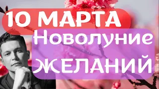 Новолуние 10 Марта - Вселенная скажет ДА - Душевный гороскоп Павел Чудинов 2024