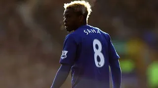 Louis Saha's 35 Goals for Everton