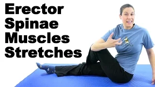 Erector Spinae Muscles Stretches - Ask Doctor Jo