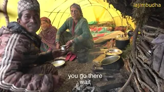 the severe life of yarsagumba seeker people || Nepal || dolpa || lajimbudha ||