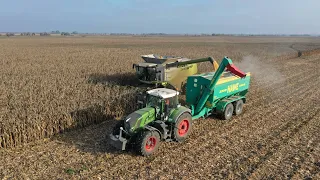 Totya Farm-Kukorica aratás 2022:CLAAS LEXION 660+CORIO 875FC, MEGA360+Conspeed 6-75FC,FENDT 828+Hawe