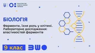 9 клас. Біологія. Ферменти, їхня роль у клітині. Лабораторне дослідження: властивостей ферментів