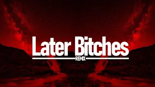 Later Bitches - The Prince Karma | ZhelSound Remix