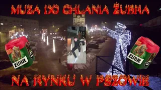 █▬█ █ ▀█▀  MUZA DO CHLANIA ŻUBRA NA RYNKU W PSZOWIE