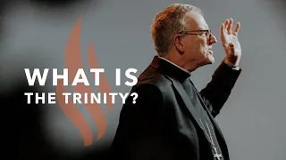 What Is the Trinity? - Bishop Barron's Sunday Sermons