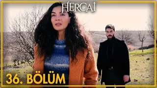 Hercai Episode 36