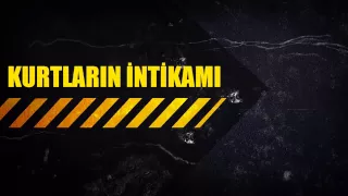 KURTLARIN İNTİKAMI TANITIM VİDEOSU !!!