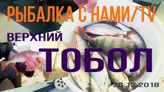 ПОМЕНЯЛИ МЕСТО И НАЧАЛСЯ КЛЁВ КОТОРОГО ДАВНО ЖДАЛИ! ЗИМНЯЯ РЫБАЛКА НА ВЕРХАШЕ! ЛОВИМ В КАЗАХСТАНЕ!