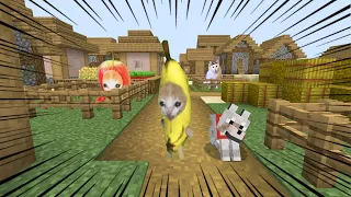 バナナ猫がマイクラにやってきた！【総集編 Part 6】