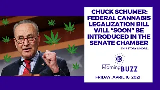 Chuck Schumer: Federal Cannabis Legalization Bill Will “Soon” Be Introduced in the Senate Chamber