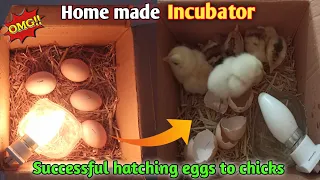 Home-Made Incubator: Easy Way to Hatch Better Chickens at Home||How to make Simple Incubator