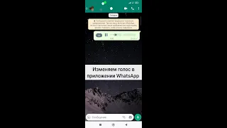 Изменяем голос в приложении WhatsApp #shorts