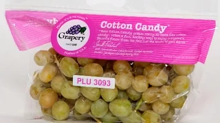 Farmers grow grapes that taste like cotton candy